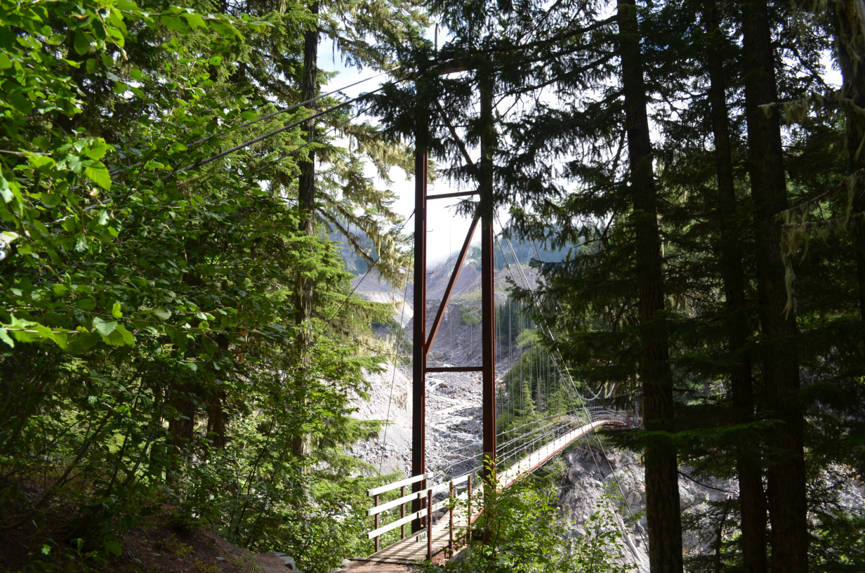 Tahoma Creek Suspension Bridge from the West end