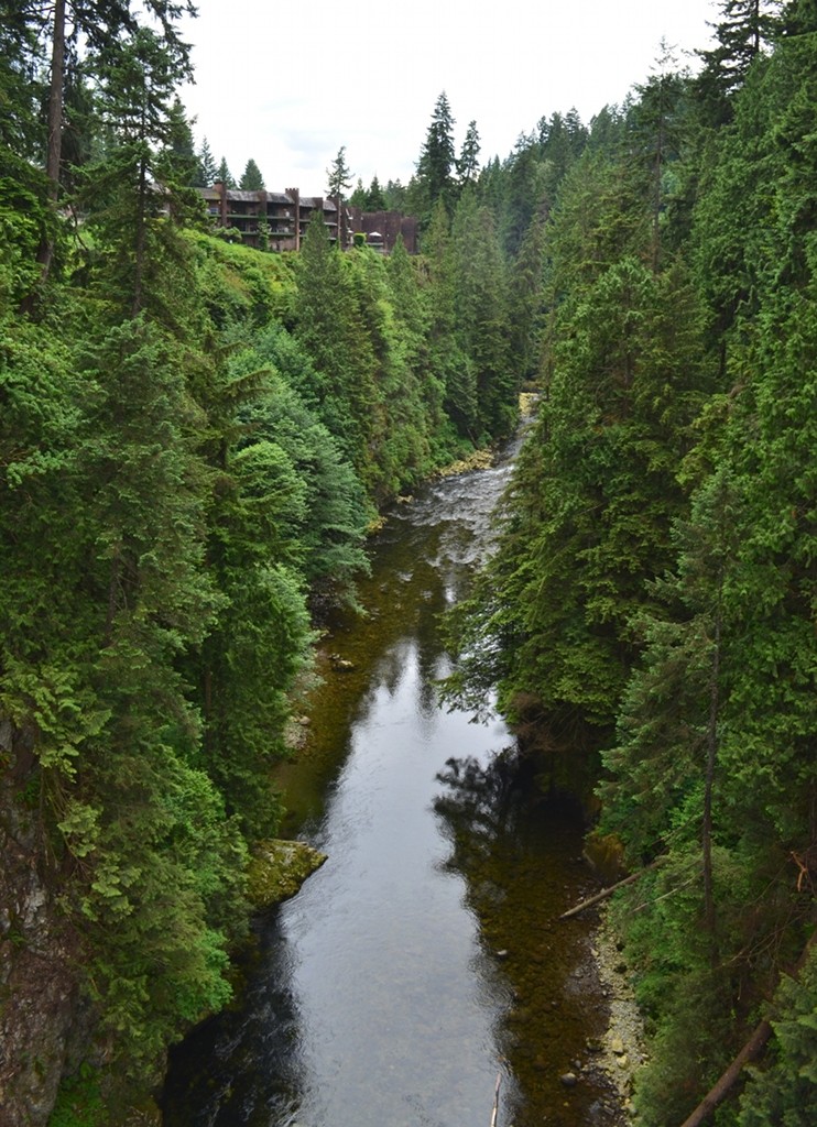 View of Capilano River, looking downstream from bridge.